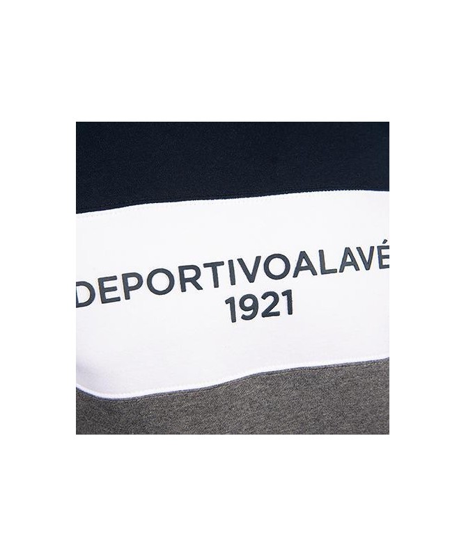 Sudadera Junior Deportivo Alaves Gris Tricolor