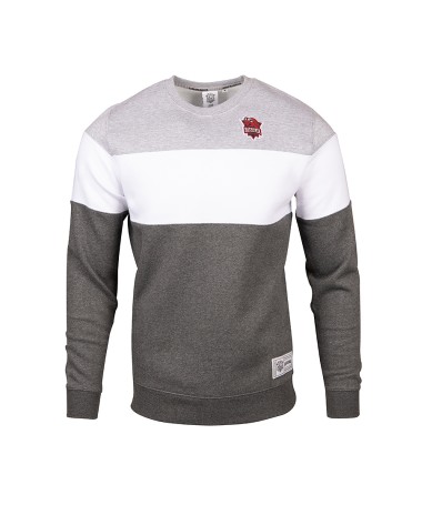 Sudadera Baskonia Tricolor Gris