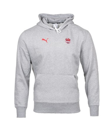 Sudadera Puma Hoops Oficial Baskonia Gris 25/26