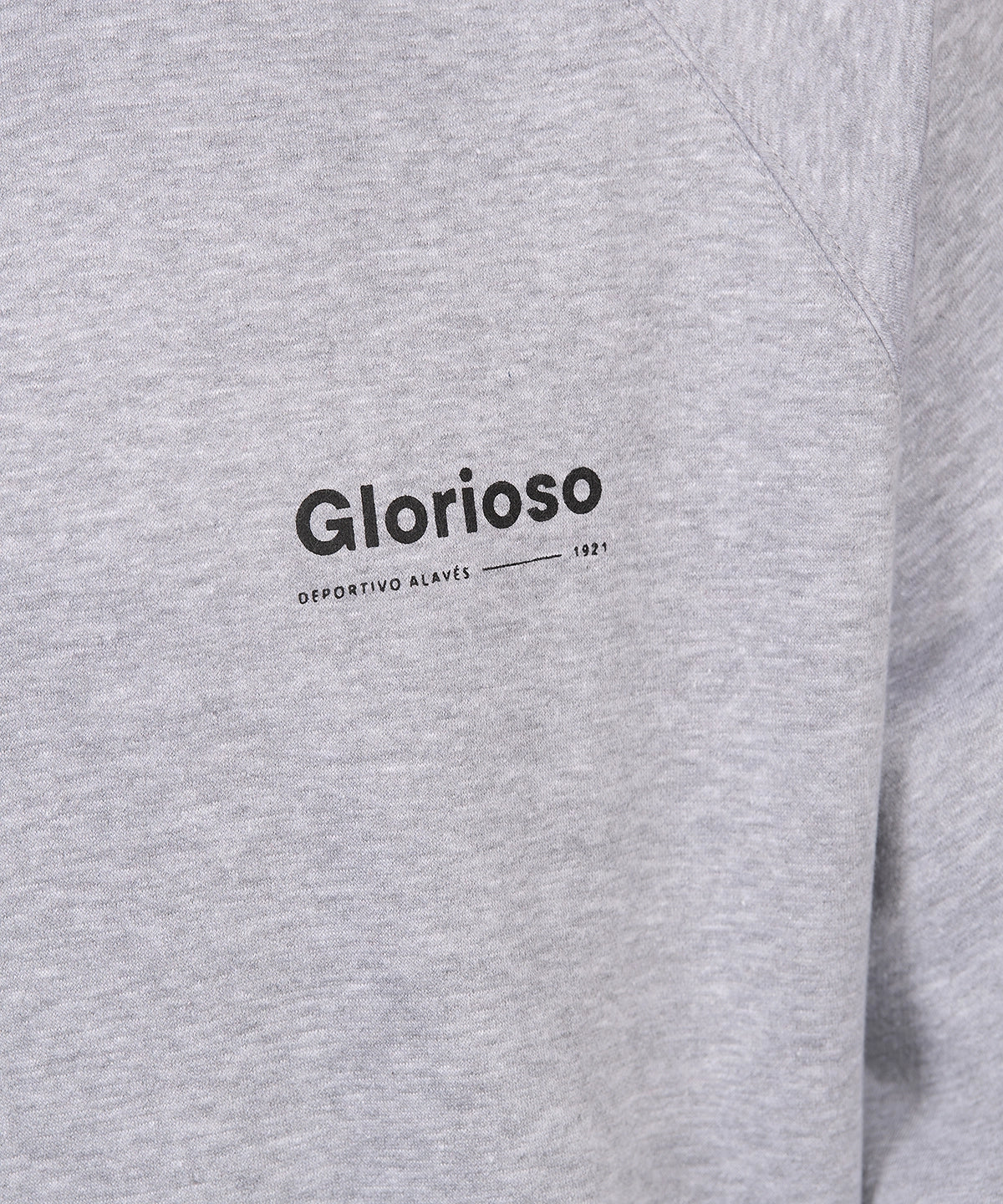 HOODIE MO DA GARRA Y PASIÓN GRIS 26-27